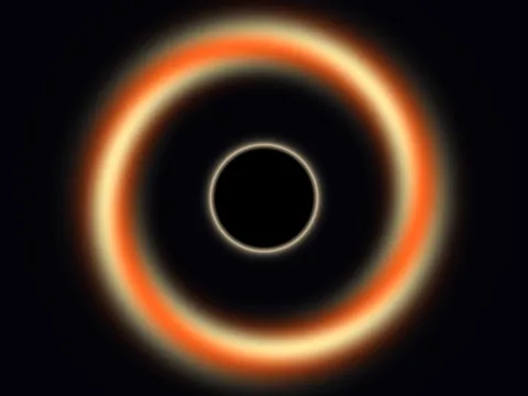 Target picture for Black hole lensing